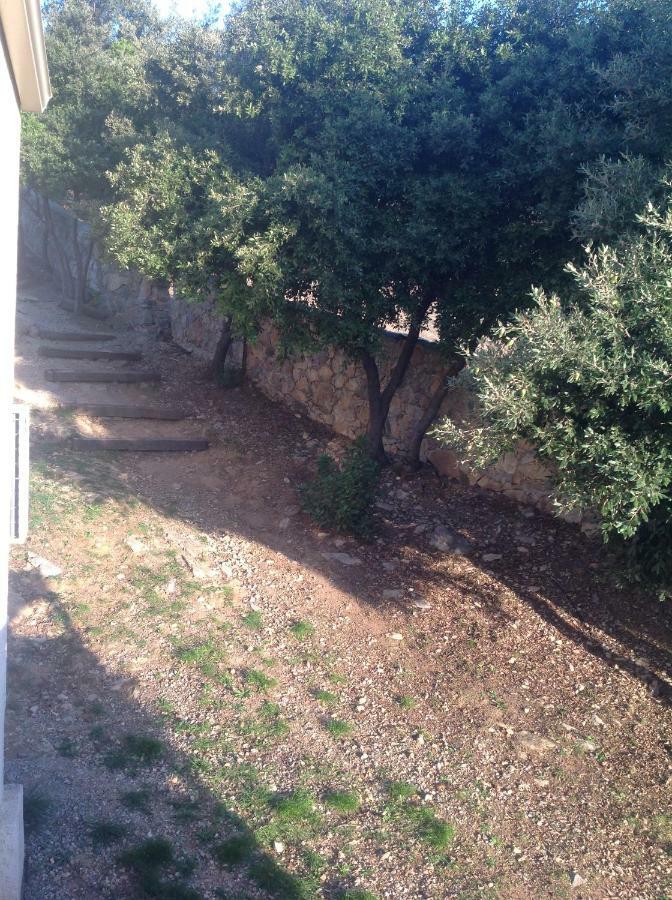 Apartement Alba Oletta Oletta (Corsica) Exterior foto